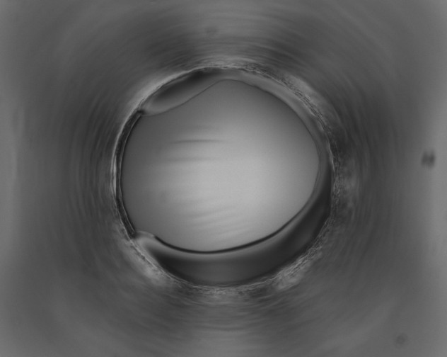 X0000090900940200708270941