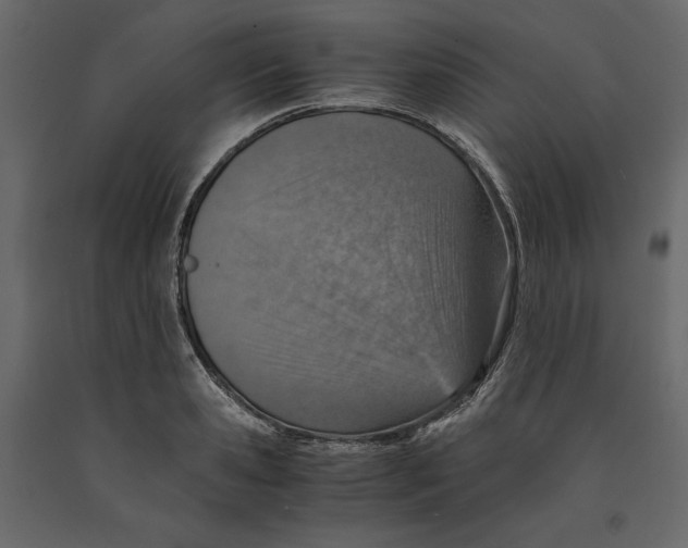 X0000090900941200708270941