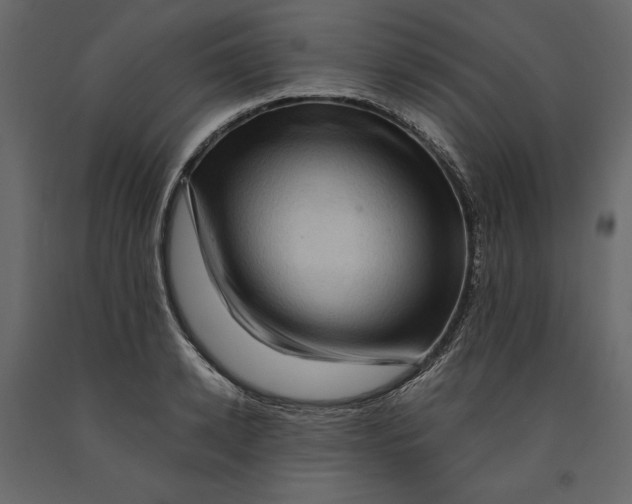 X0000090900942200708270941