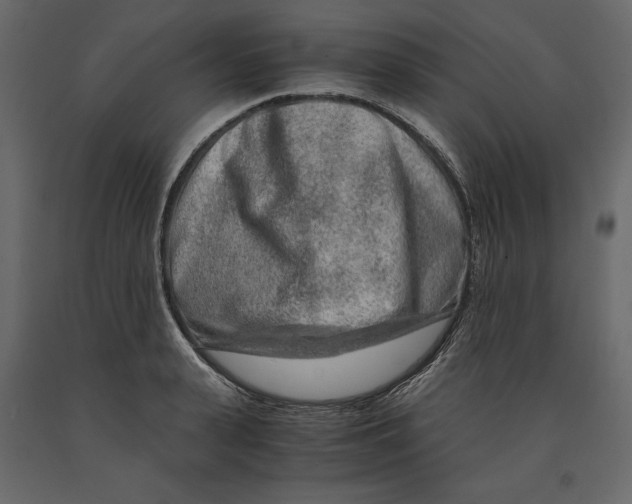 X0000090900943200708270941