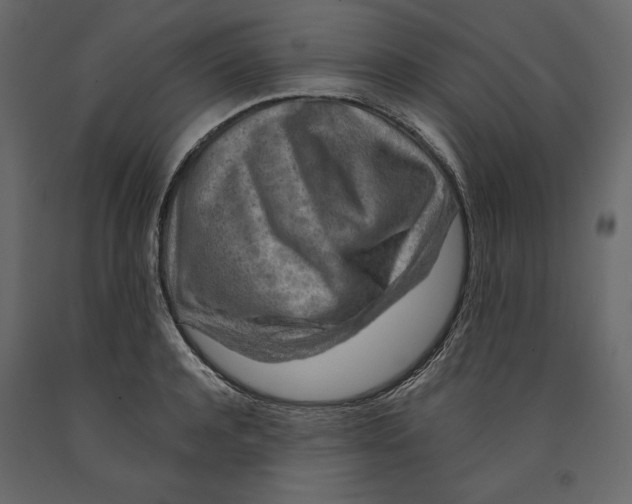 X0000090900944200708270941