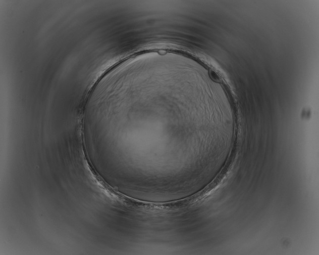 X0000090900945200708270941
