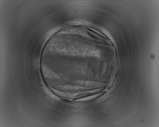X0000090900946200708270941
