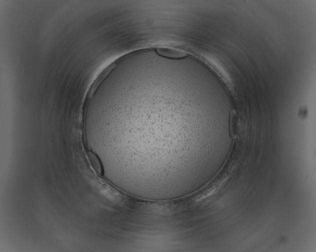 X0000090900948200708270941