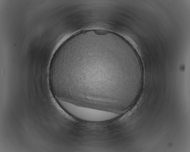 X0000090900949200708270941