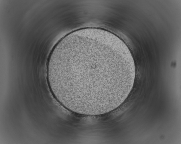 X0000090900950200708270941
