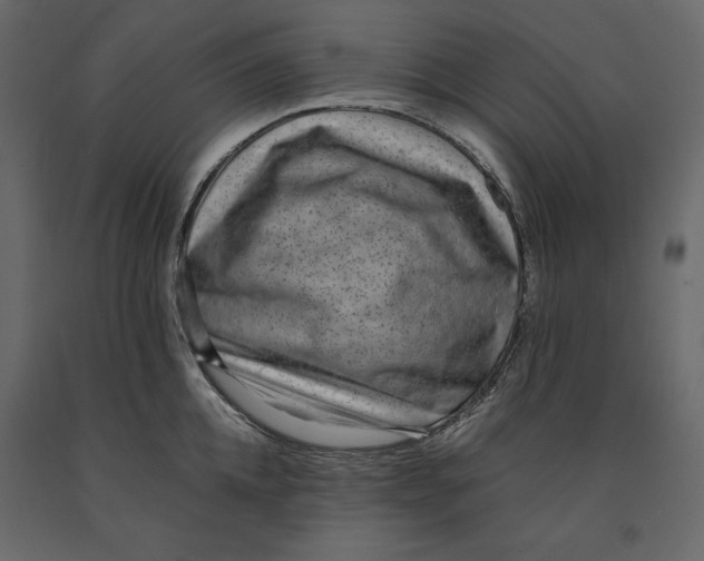 X0000090900952200708270941