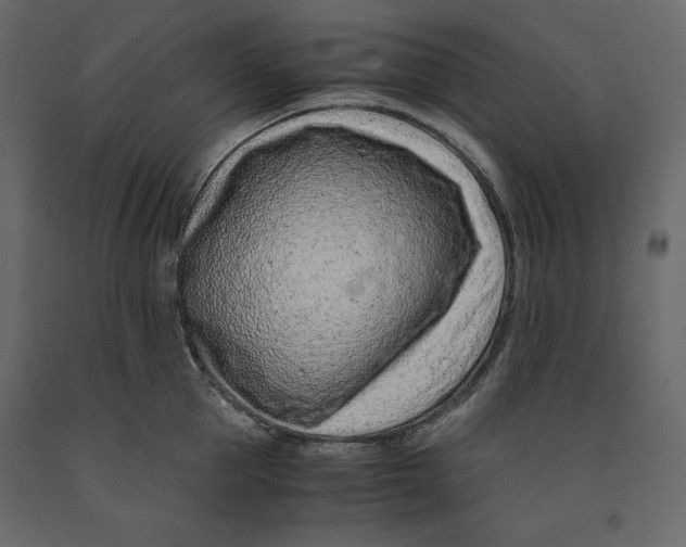 X0000090900953200708270941