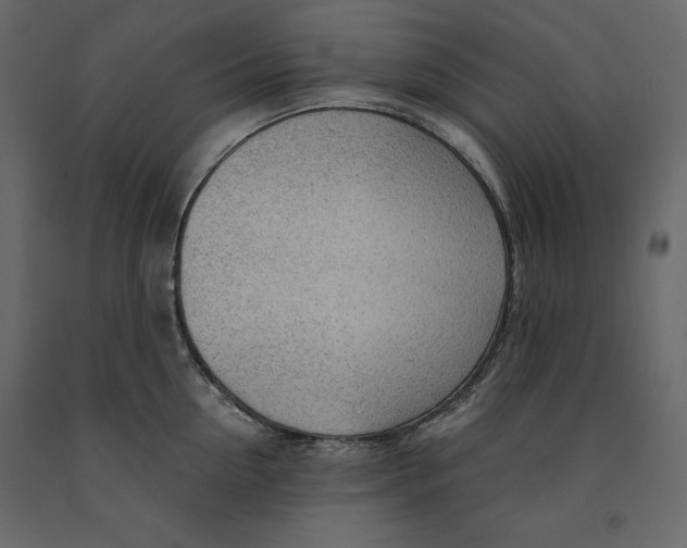 X0000090900954200708270941