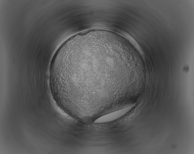 X0000090900955200708270941