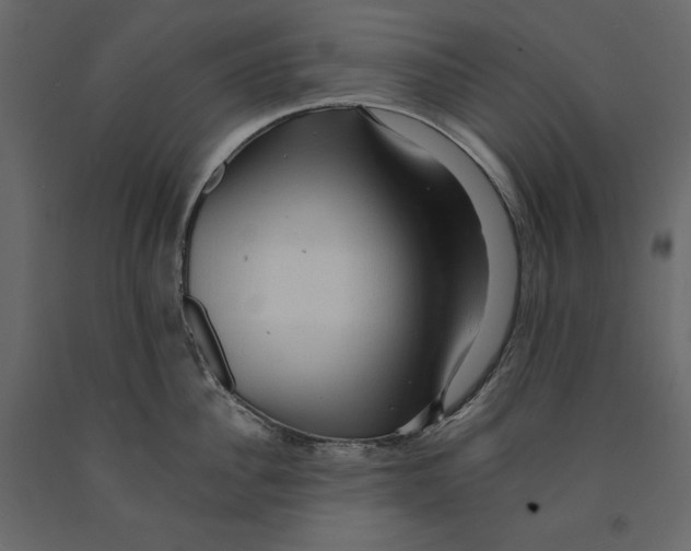 X0000090900956200708270941