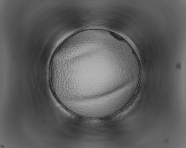 X0000090900957200708270941