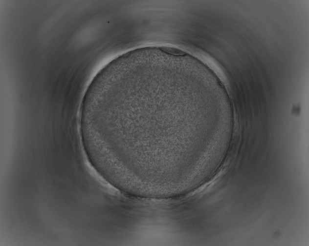 X0000090900958200708270941