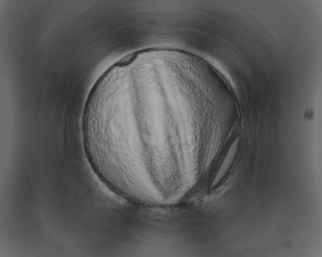 X0000090900959200708270941