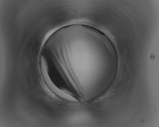 X0000090900960200708270941