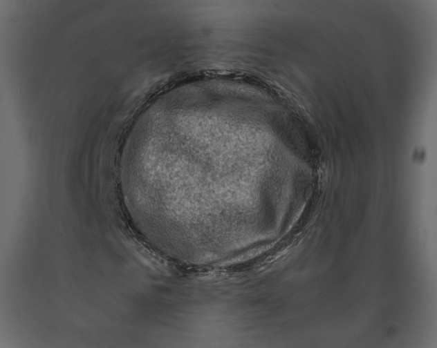 X0000090900961200708270940