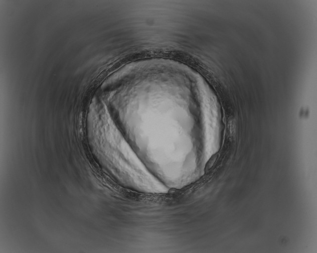 X0000090900963200708270940