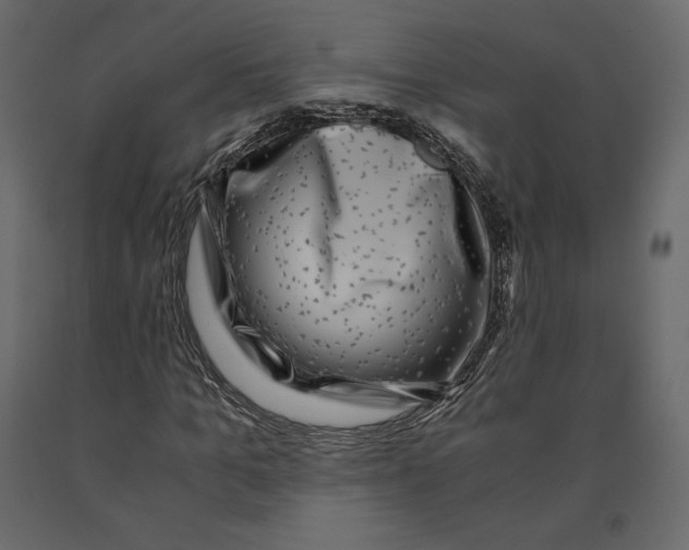 X0000090900965200708270940