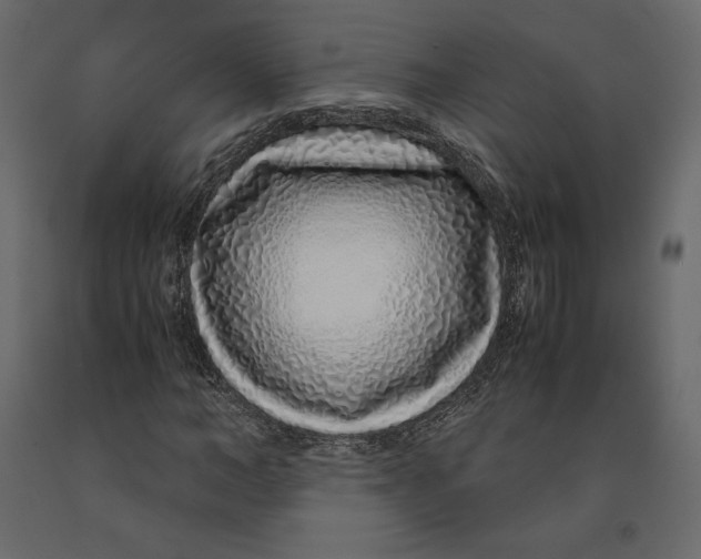 X0000090900966200708270940