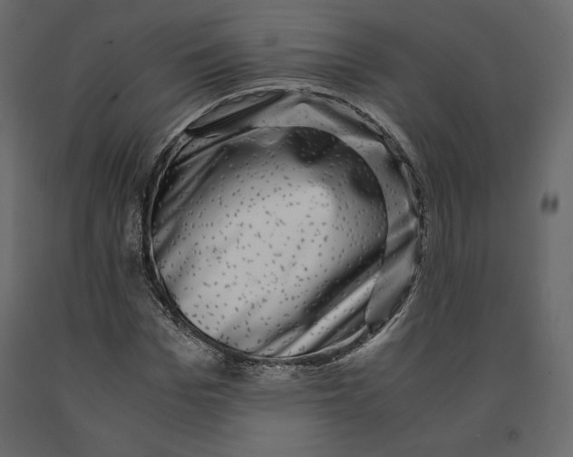 X0000090900969200708270940