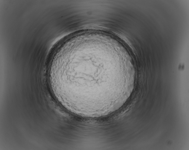 X0000090900971200708270940