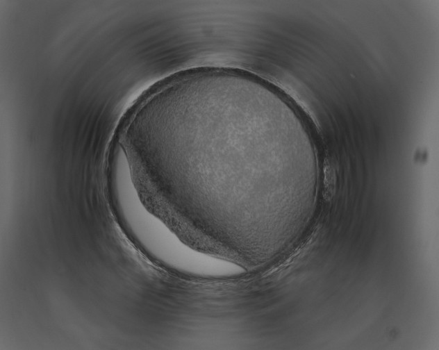 X0000090900972200708270940