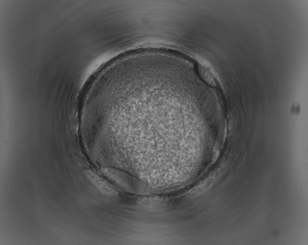 X0000090900973200708270940