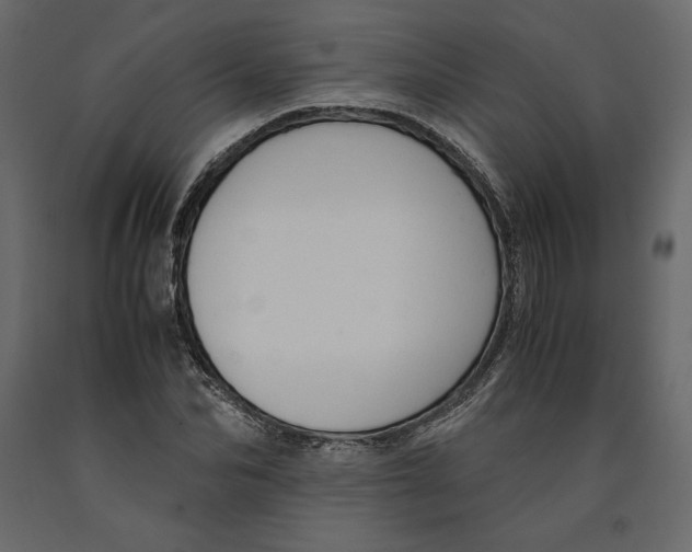 X0000090900974200708270940