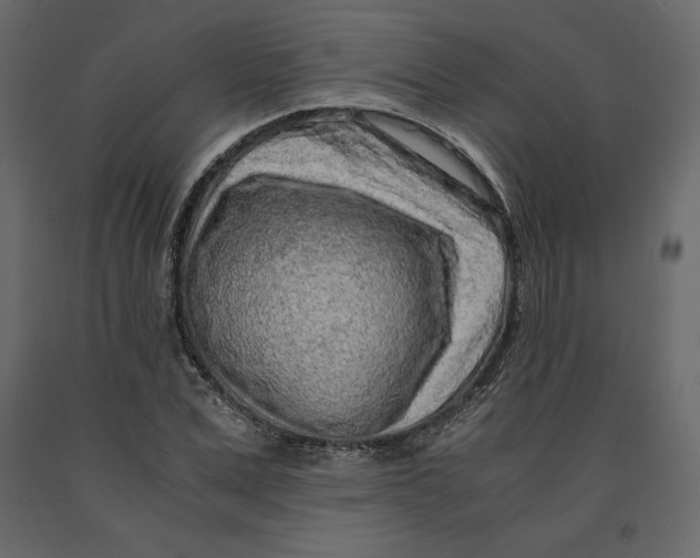 X0000090900975200708270940