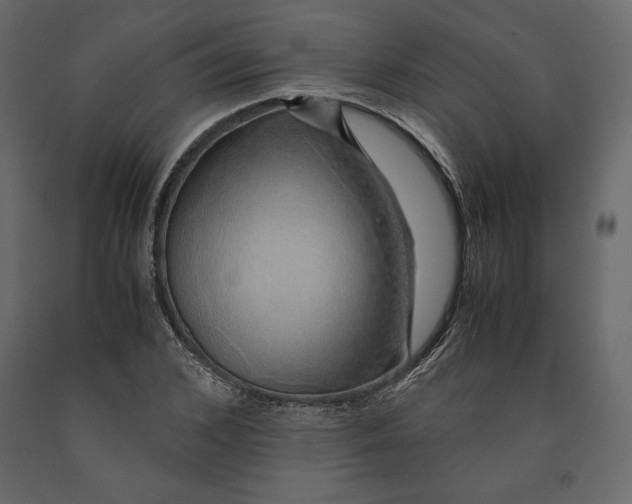 X0000090900976200708270940