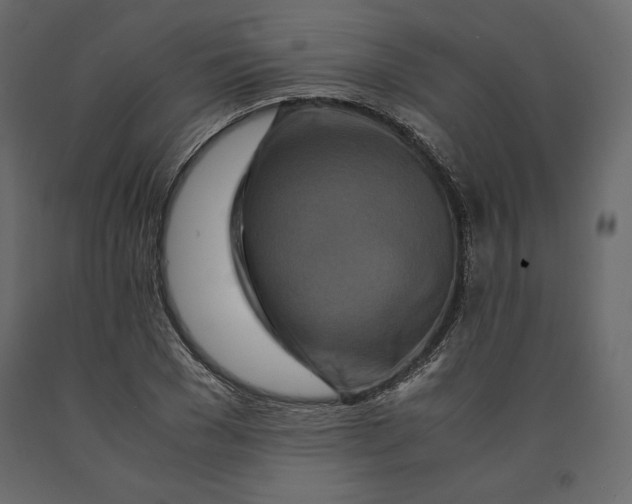 X0000090900977200708270940