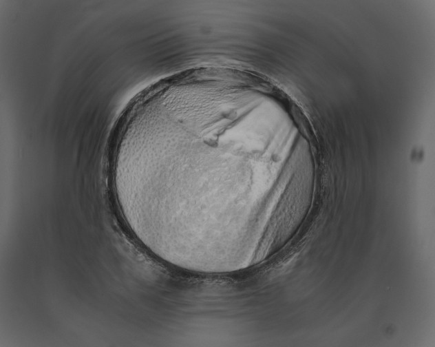 X0000090900979200708270940