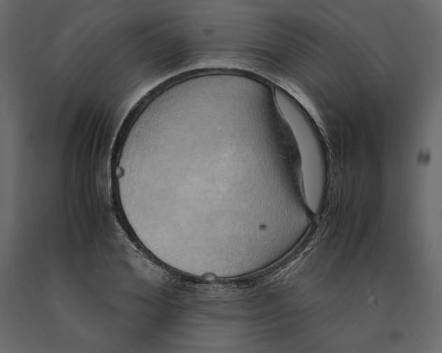 X0000090900980200708270940