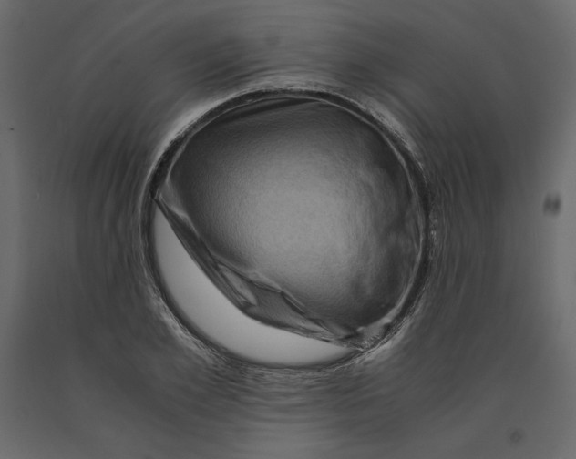 X0000090900981200708270940