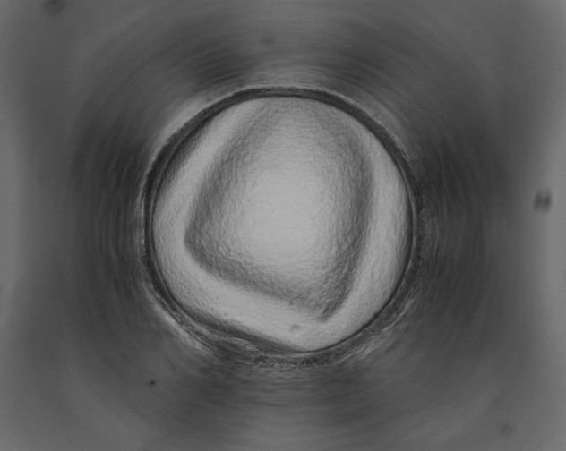 X0000090900982200708270940