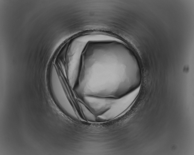X0000090900983200708270940