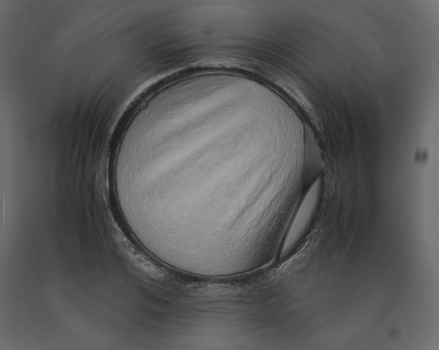 X0000090900984200708270940
