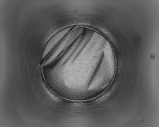 X0000090900985200708270940