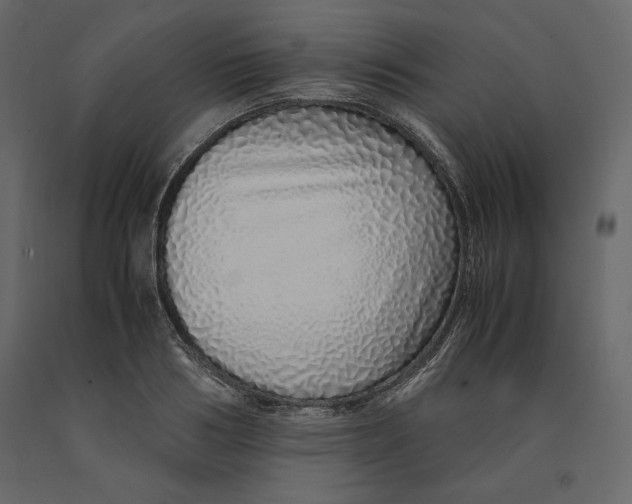 X0000090900986200708270940