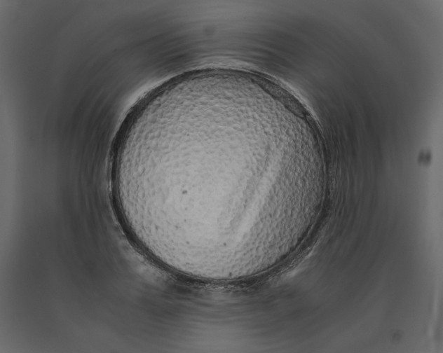 X0000090900987200708270940