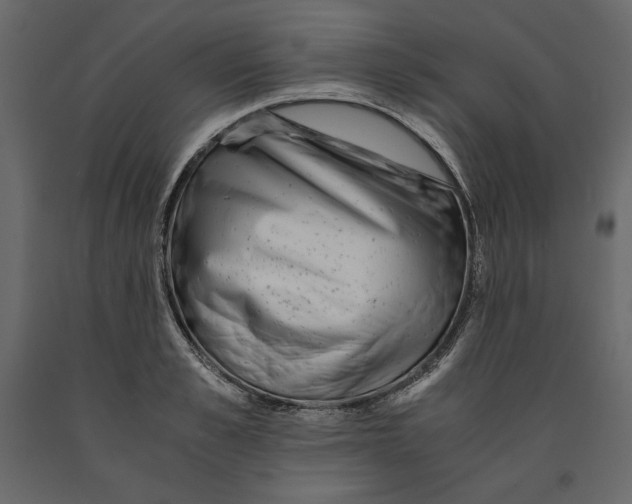 X0000090900989200708270940