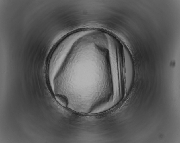 X0000090900990200708270940