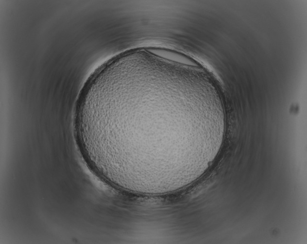 X0000090900991200708270940