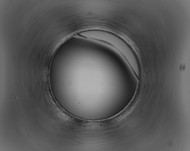 X0000090900993200708270940