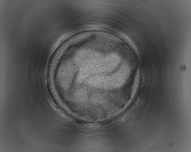 X0000090900994200708270940