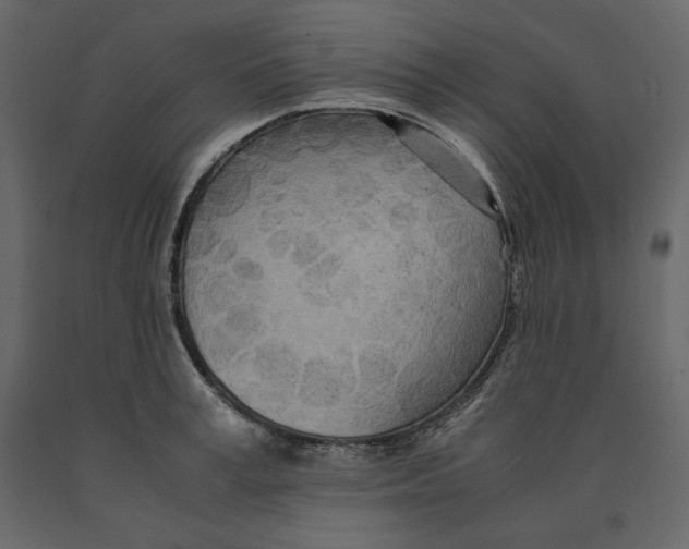 X0000090900995200708270940