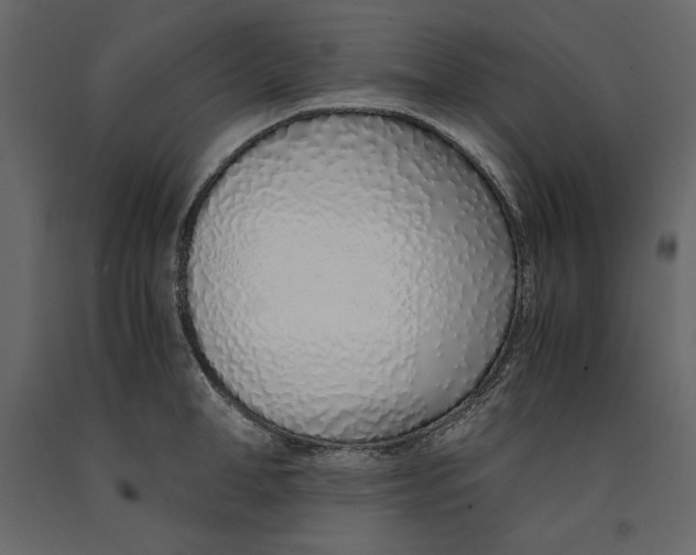X0000090900998200708270940