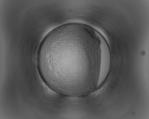 X0000090900999200708270940