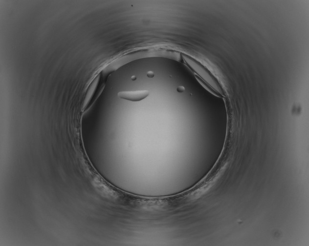X0000090901001200708270940
