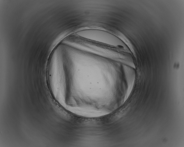 X0000090901002200708270940